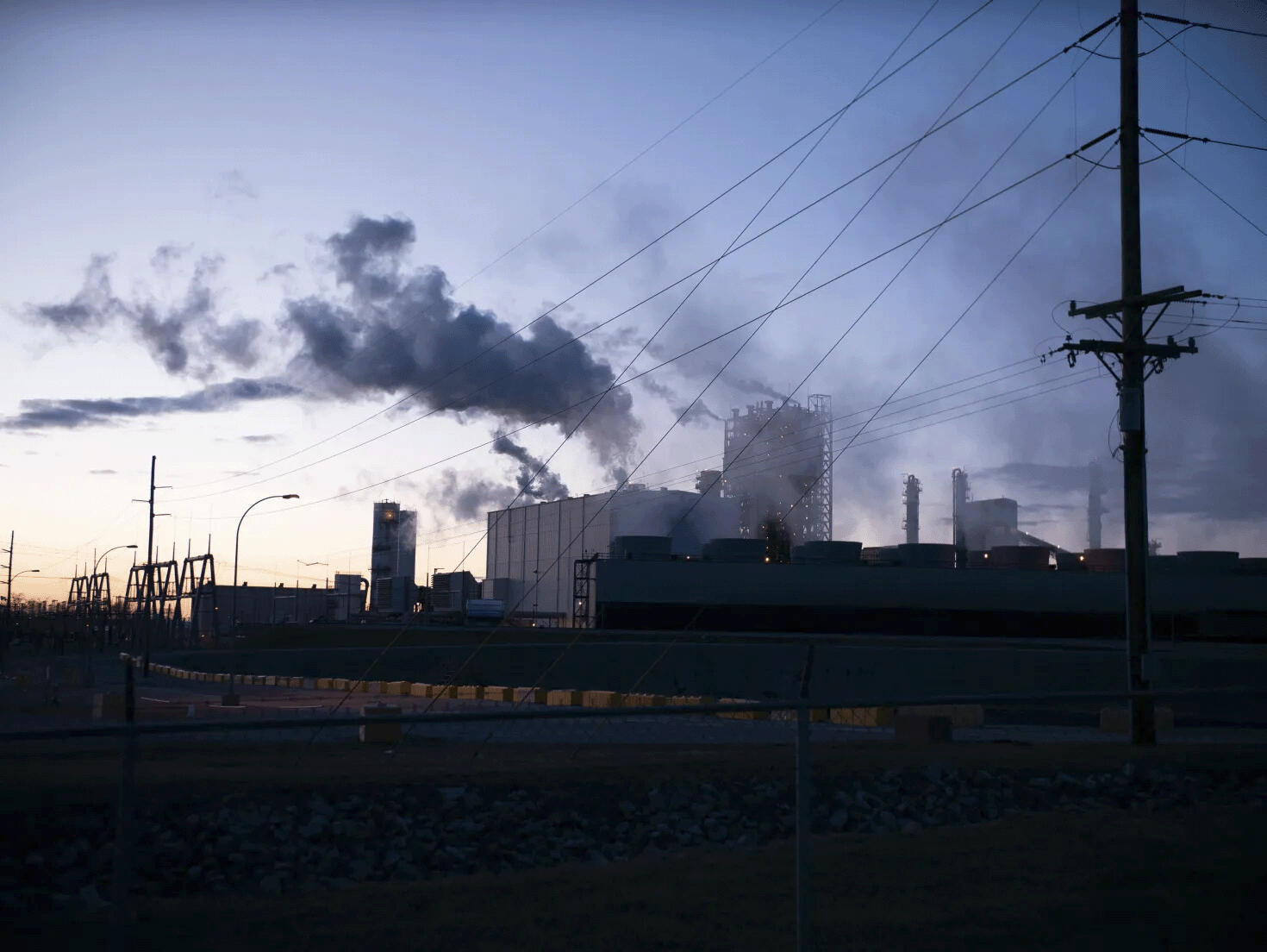 Dolor adipiscing elit